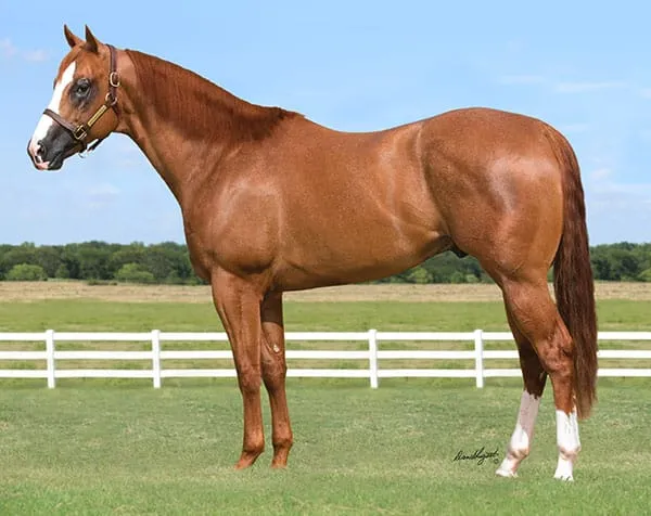 Ejemplar de alto rendimiento